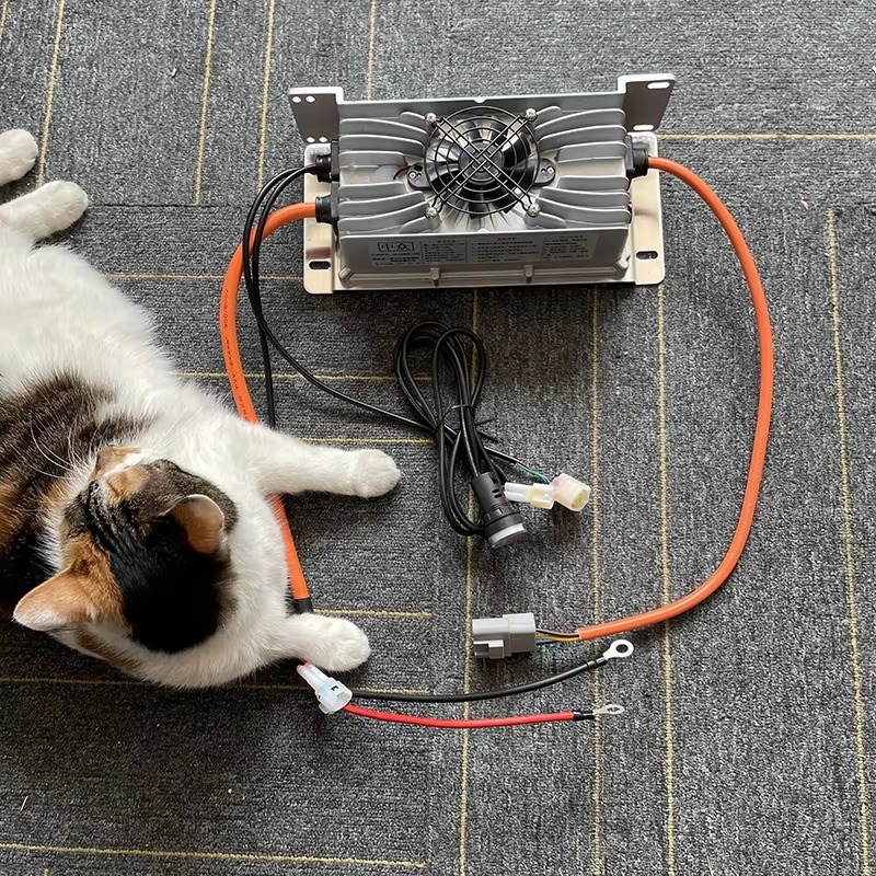 48V 60V 72V 80V Li-ion Lifepo4 - 72V 15A Fast Charger 评论和价格